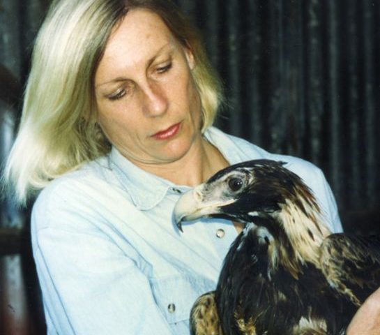 wl010-e1556931214139